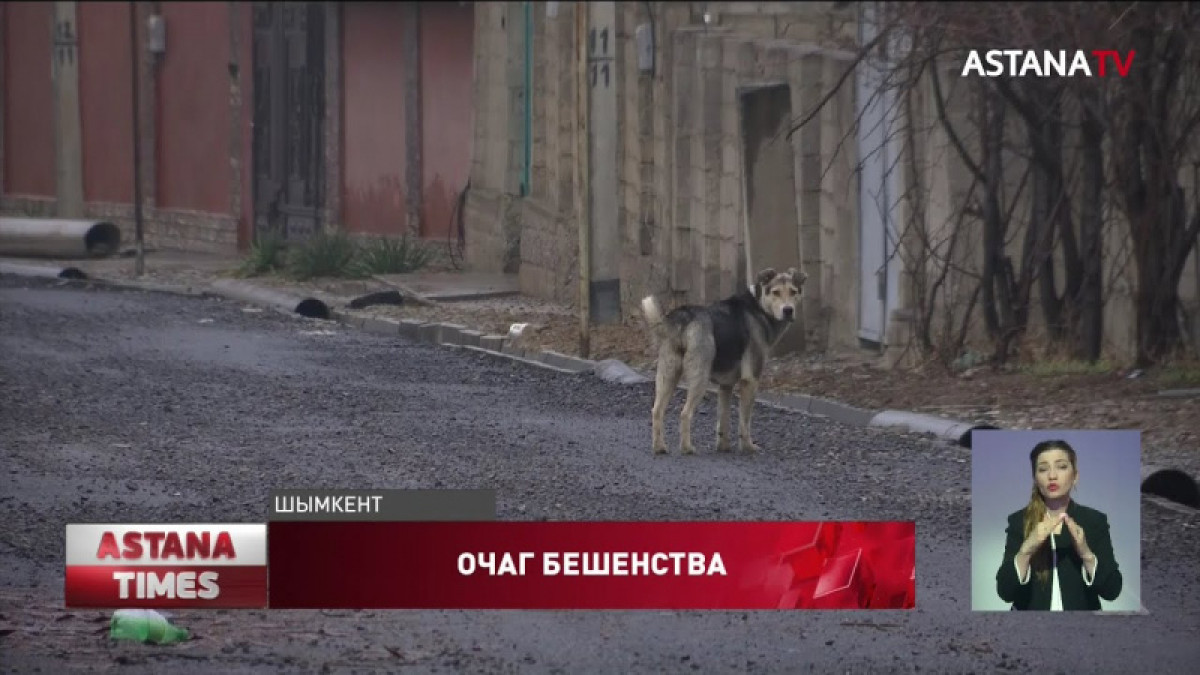 кадр из видео