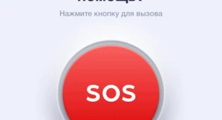 Более 2 200 видеозвонков в полицию поступило через приложение &quot;102&quot;