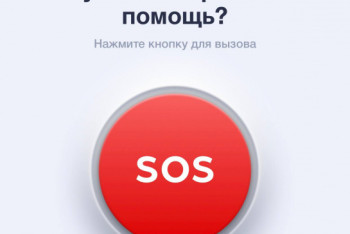 Фотография к новости: Более 2 200 видеозвонков в полицию поступило через приложение "102"