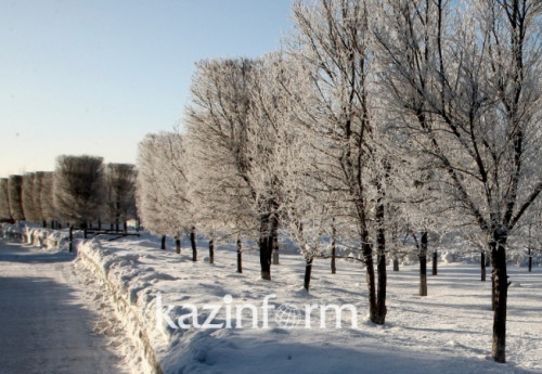 Фотография к новости: Казахстанские биатлонисты будут участвовать в ЧМ-2021