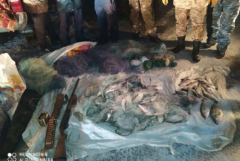 Фотография к новости: Перевозившего 50 килограммов краснокнижного окуня браконьера задержали в Алматинской области