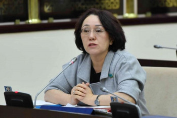 Диссертации на заказ - сенатор возмущена ростом плагиата в научных работах казахстанцев