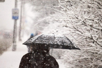 Фотография к новости: Снег и дождь ожидаются в Казахстане 5 февраля