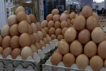 Фотография к новости: В Минсельхозе назвали необоснованным рост цен на яйца