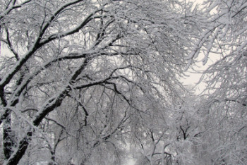 Фотография к новости: Какая погода ожидается в Казахстане 7 февраля