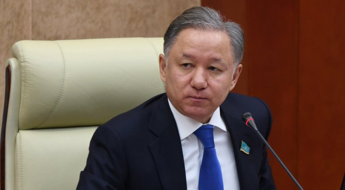 "Беззубые переговорщики" – Нигматулин раскритиковал работу казахстанских чиновников в коллегии таможенных служб