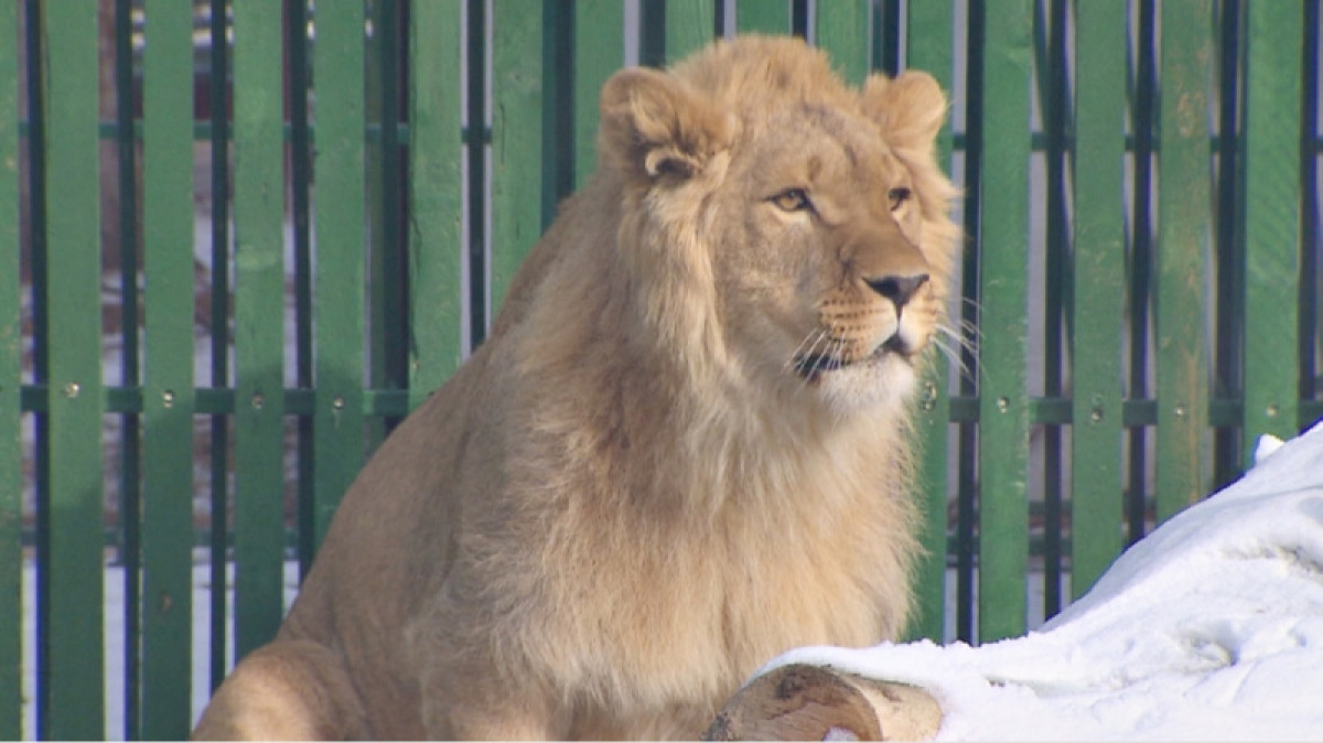 &quot;Хабар 24&quot; 