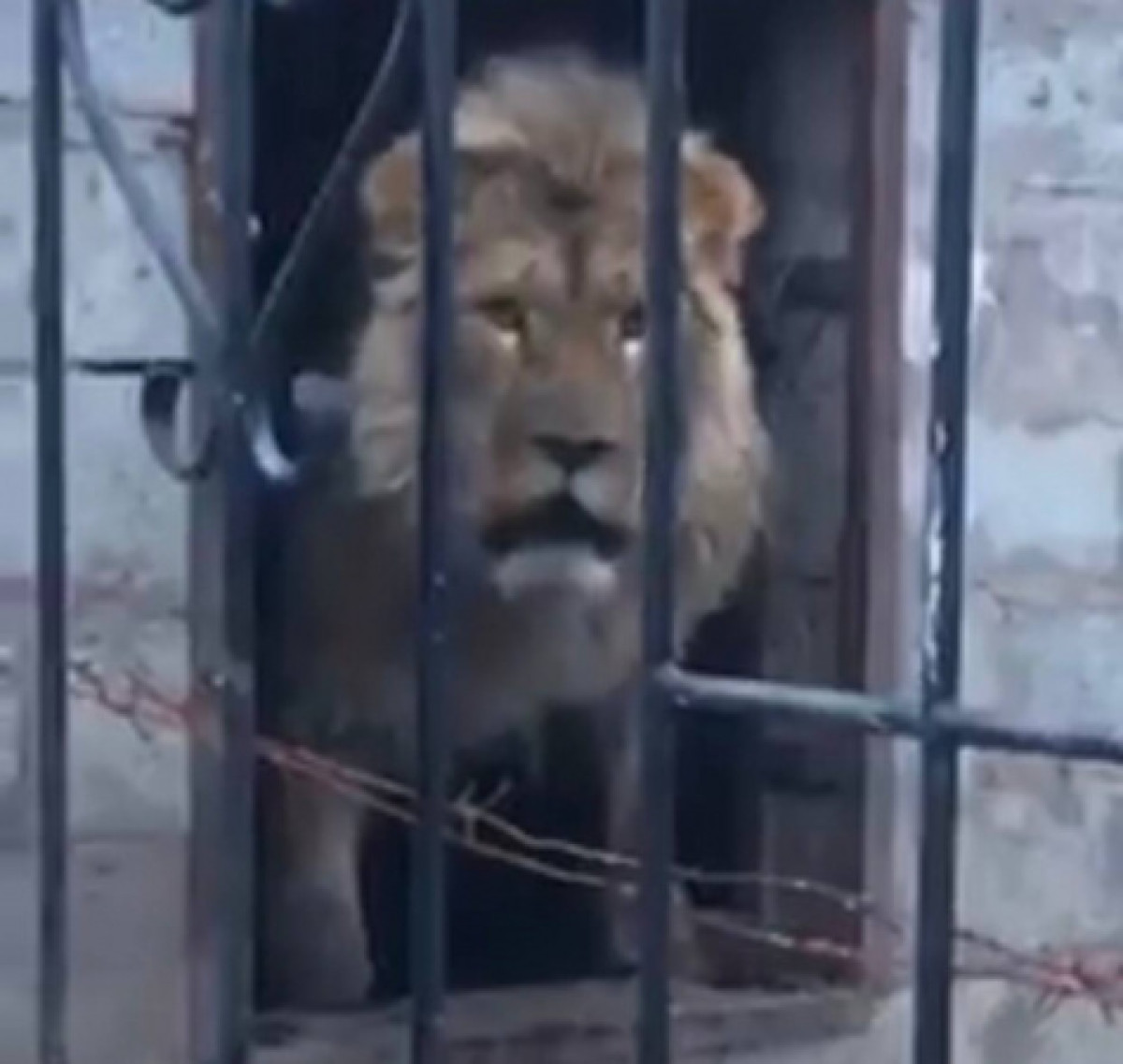 Кадр из видео