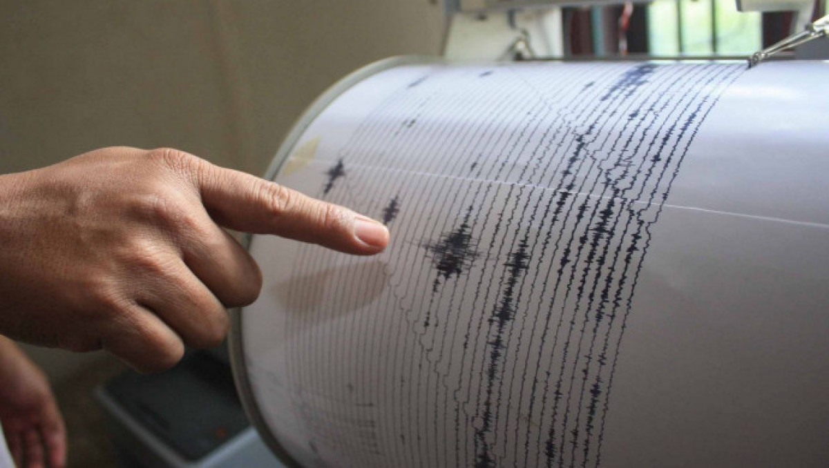 иллюстративное