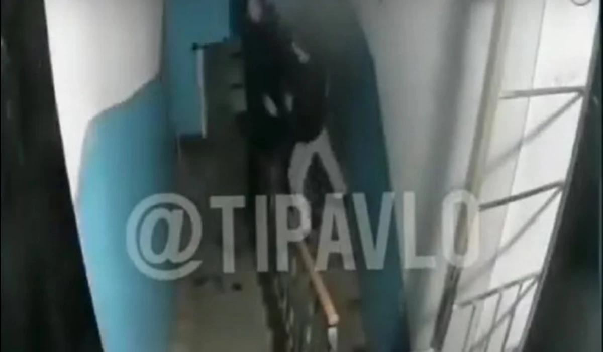 кадр из видео @tipavlo