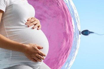 Бесплатное ЭКО: как его получить