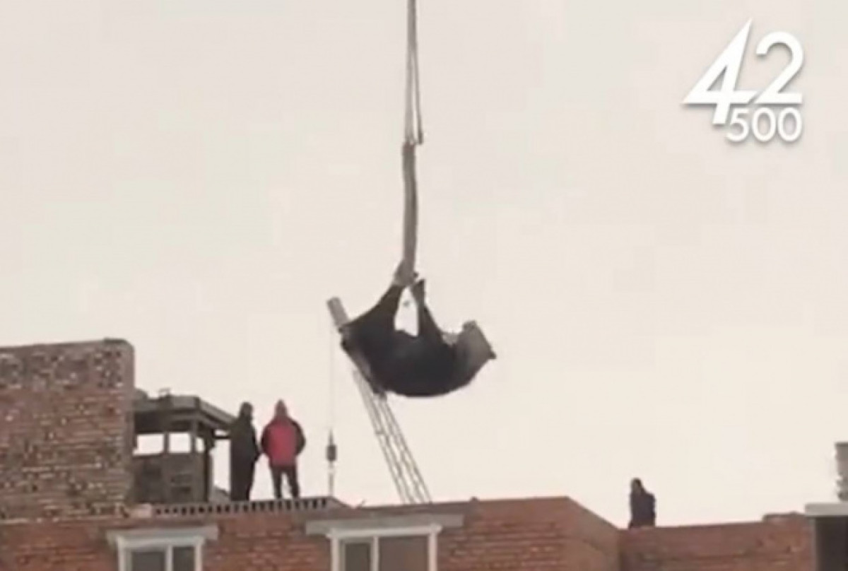 Instagram/@42500_tenge