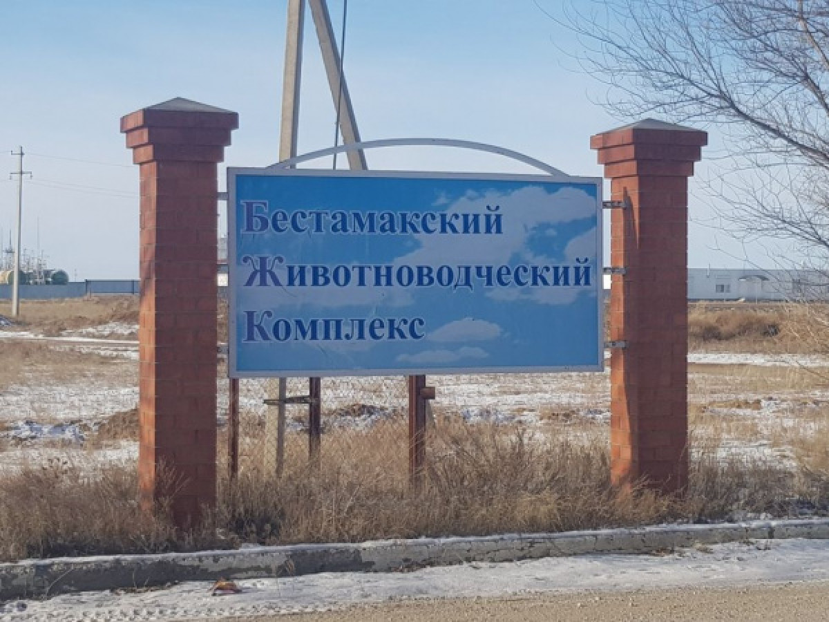 из открытых источников 