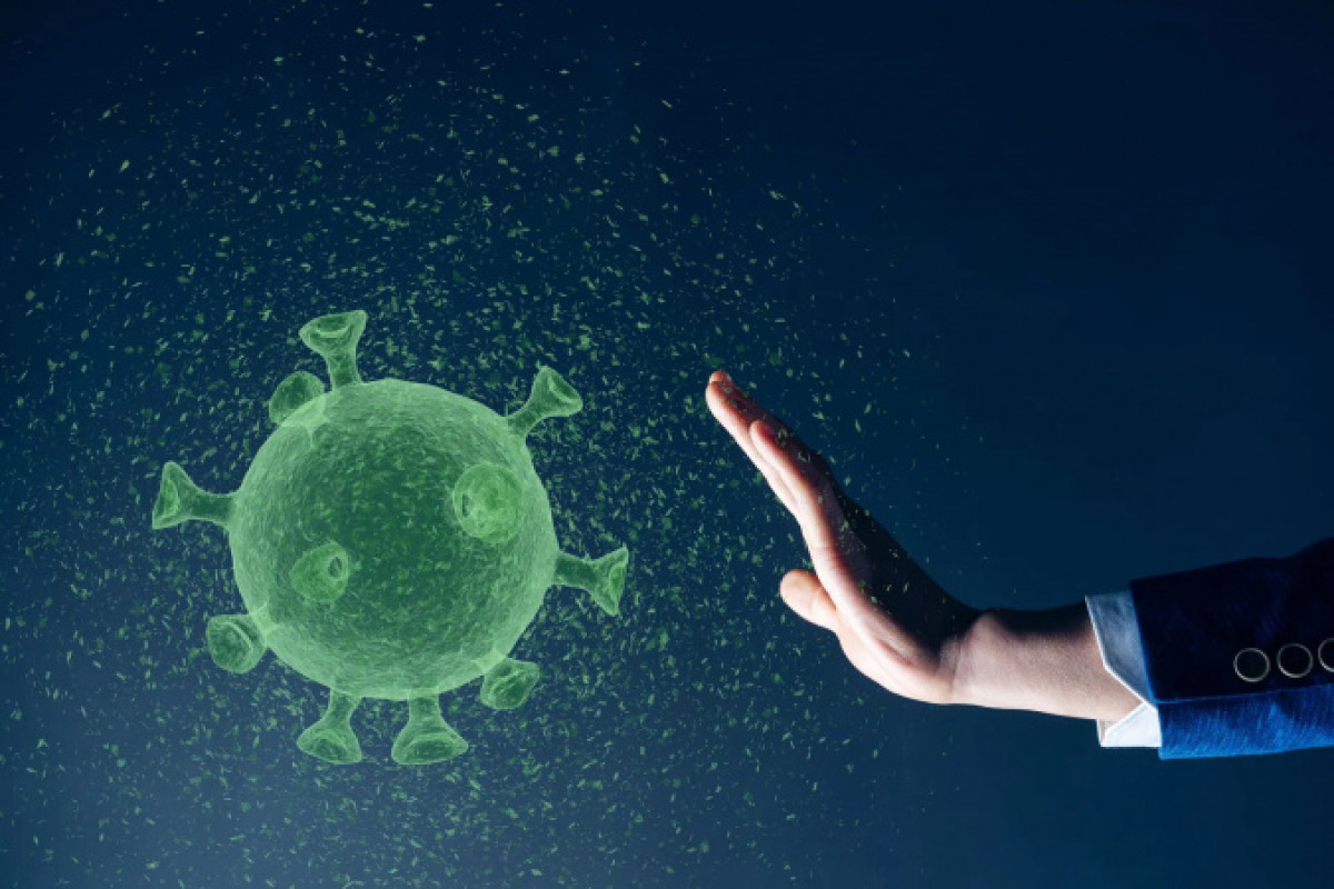 иллюстративное