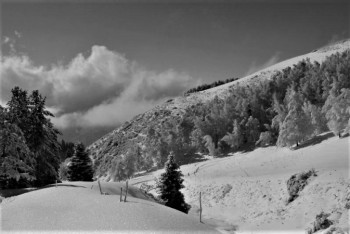 Фотография к новости: Тело женщины обнаружили в горах Алматы