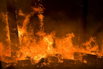 Фотография к новости: Отец и малолетний сын погибли при пожаре в Акмолинской области