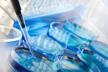 Фотография к новости: Разрешить ЭКО за счет пенсионных накоплений предлагает депутат