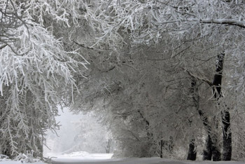 Фотография к новости: Какая погода ожидается в Казахстане 26 февраля