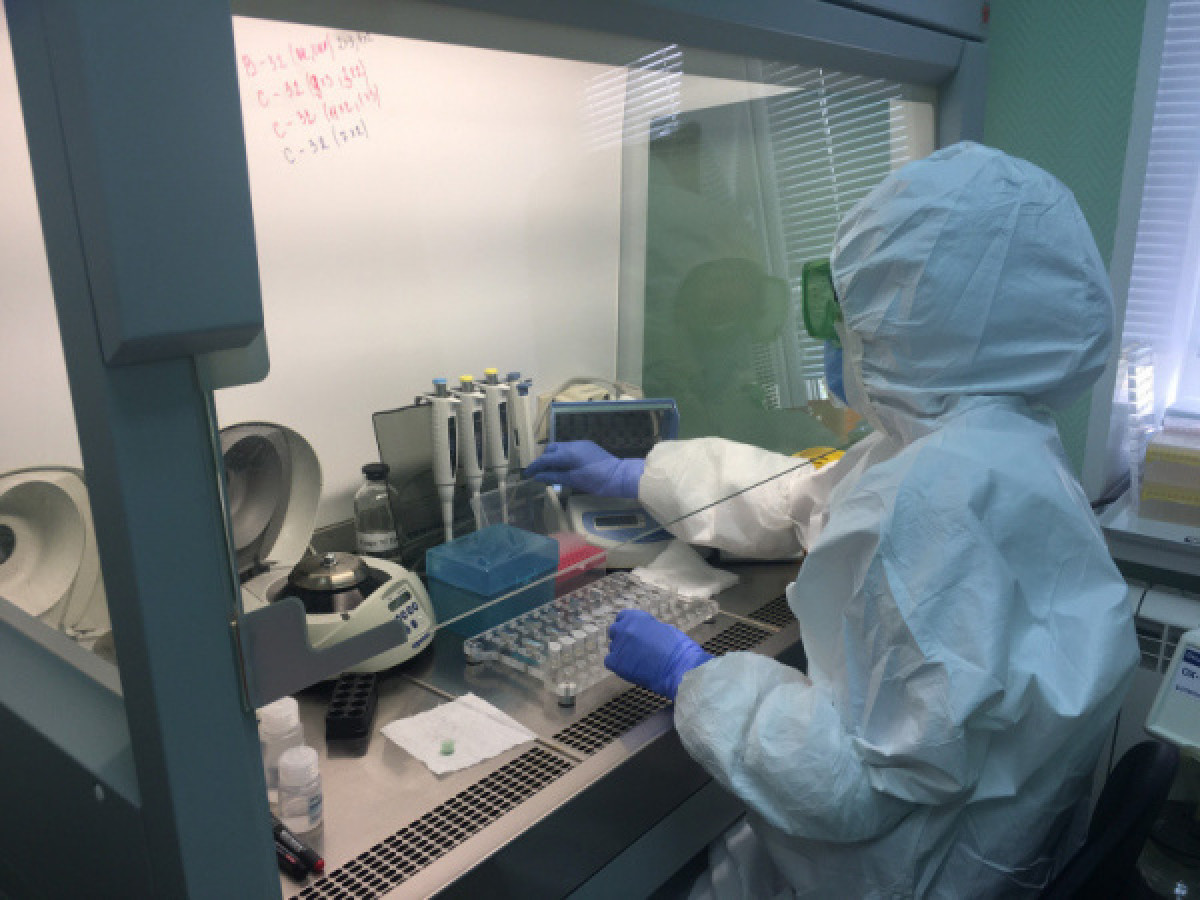 "Плюнуть в пробирку": фейк о тесте на COVID-19 распространяют в Сети