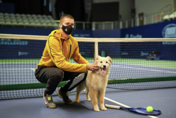 Фотография к новости: Бездомные собаки после фотосессии с казахстанскими теннисистами нашли хозяев