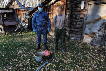 Фотография к новости: Полтора года ограничения свободы за убийство медведя получил житель ВКО