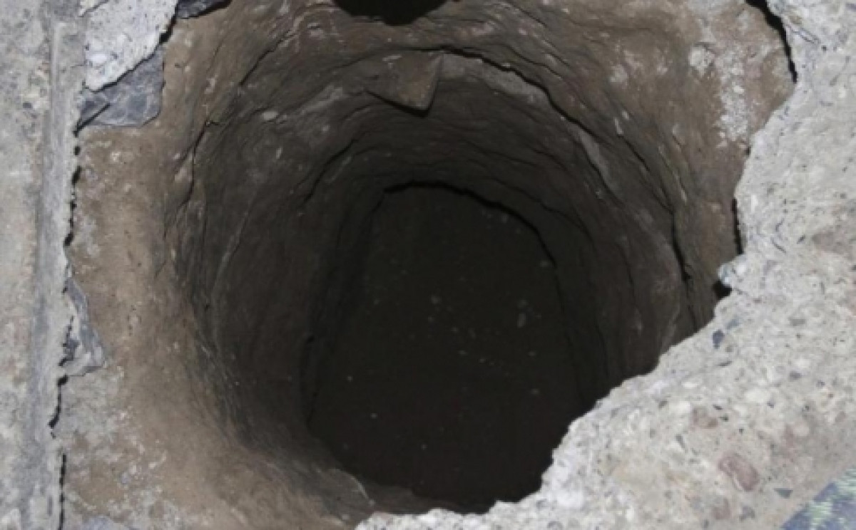 из открытых источников 