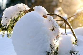 Фотография к новости: Какой будет погода в Казахстане 4 марта