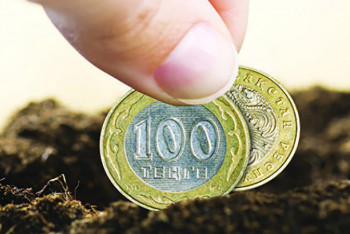 За субсидии с фермеров будем просить отдачу - Минсельхоз РК