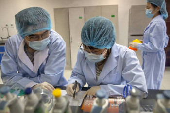 Фотография к новости: Среди летучих мышей на юге Китая нашли ближайшего родственника COVID-19