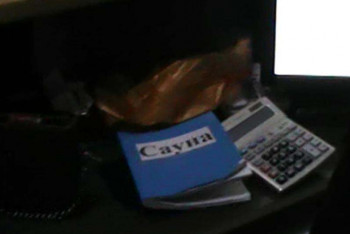 Фотография к новости: Притон под видом бани действовал в Алматинской области