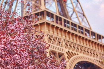 Фотография к новости: "Франкофонная весна-2021": около 50 культурных событий ожидается в Казахстане