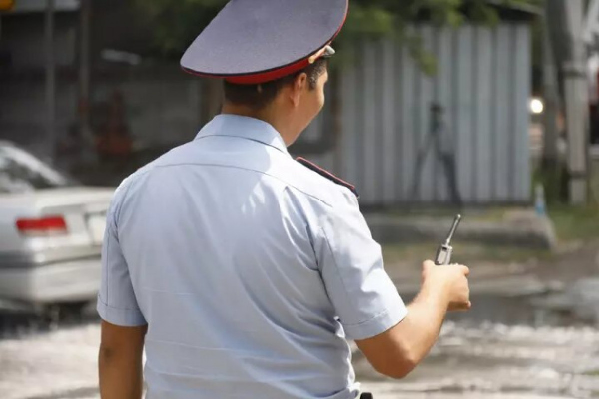 иллюстративное