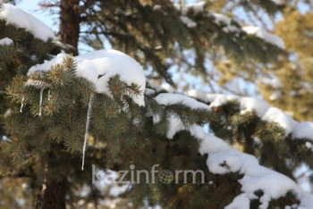 Фотография к новости: Тепло придет в Казахстан в ближайшие дни