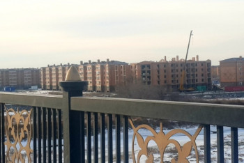 Фотография к новости: Планы воплощаются в жизнь: как идет освоение левого берега Сырдарьи в Кызылординской области