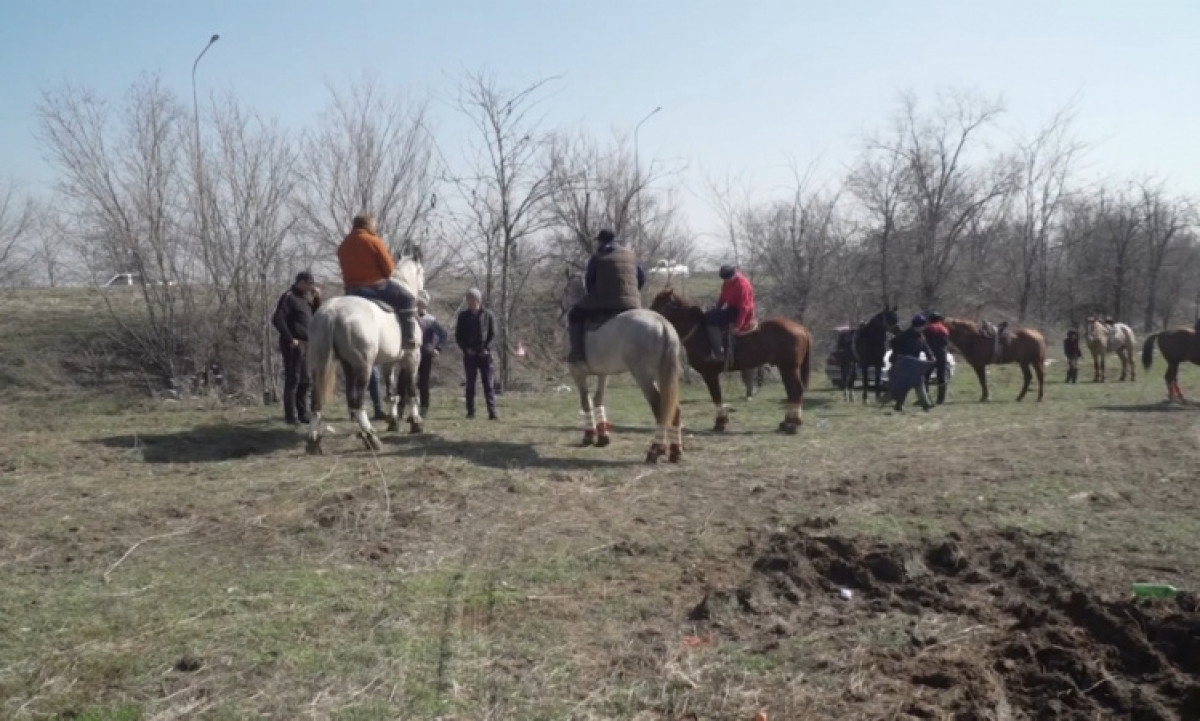 Кокпар на 400 человек остановили в Шымкенте