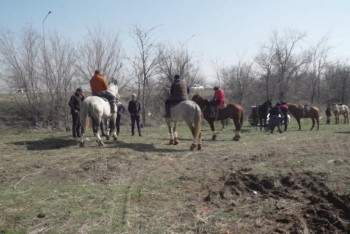 Фотография к новости: Кокпар на 400 человек остановили в Шымкенте