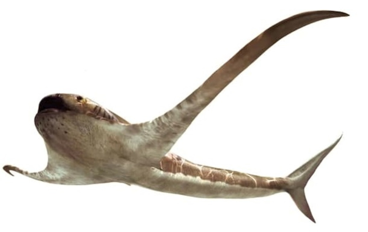 Oscar Sanisidro/National Geographic