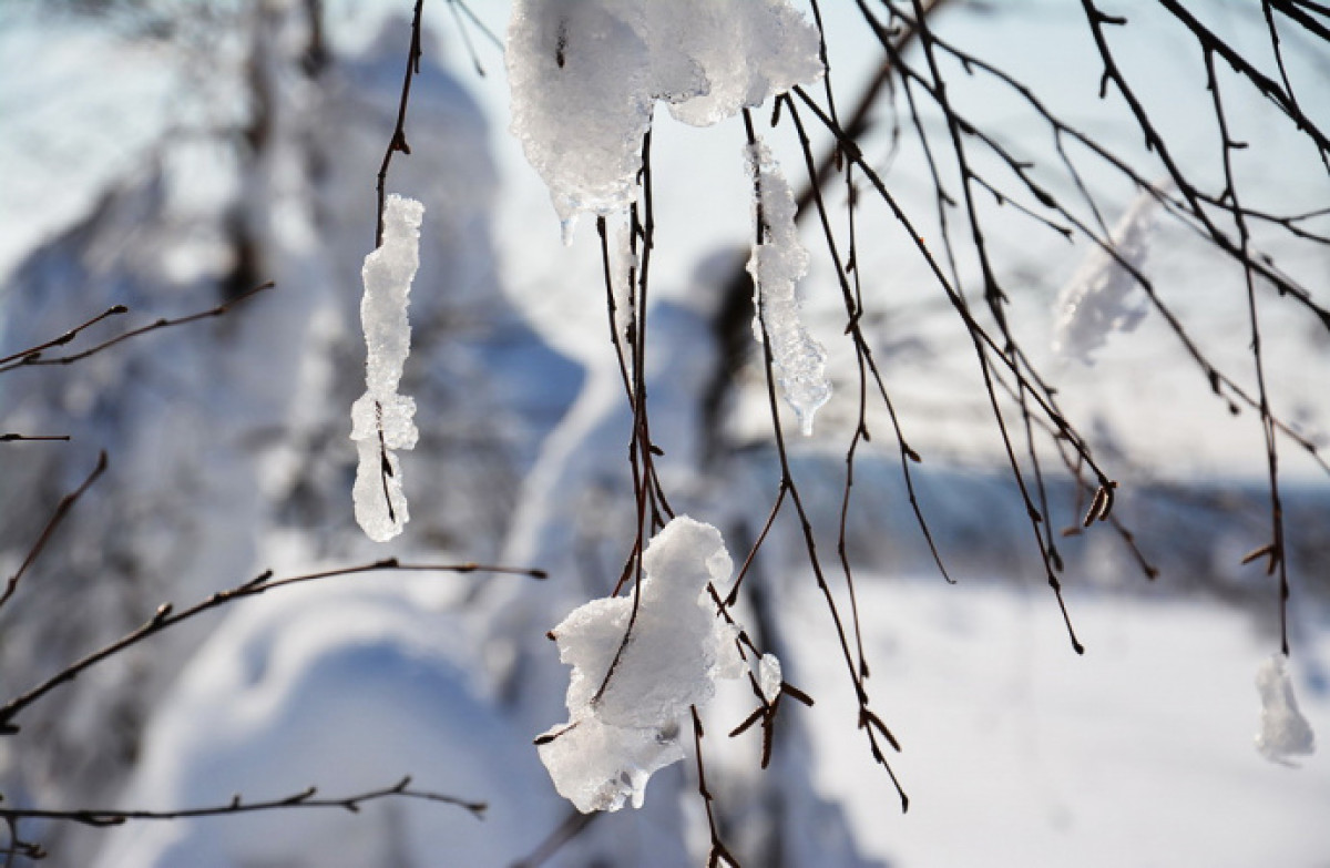 иллюстративное