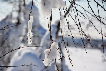 Фотография к новости: Какая погода ожидает казахстанцев 20 марта