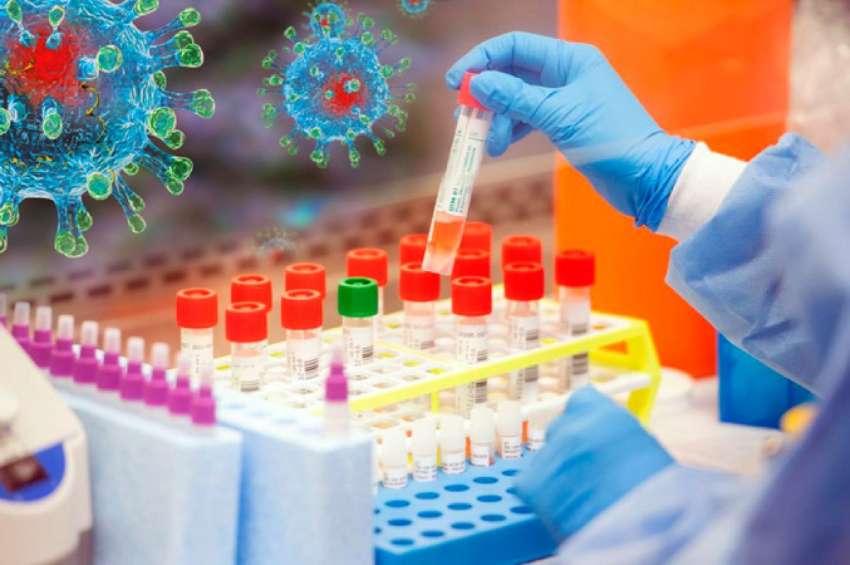 иллюстративное