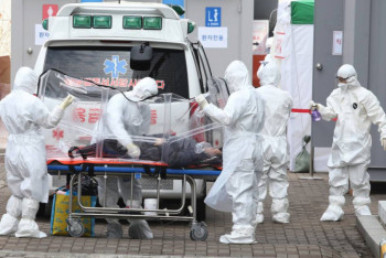 Фотография к новости: В ООН оценили ущерб от пандемии коронавируса