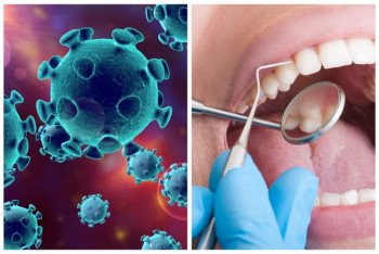 Фотография к новости: Коронавирус способен поражать клетки полости рта