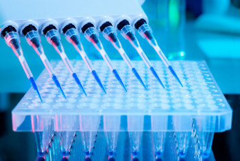 Фотография к новости: 1485 заболевших коронавирусом выявили в Казахстане за сутки