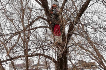 Фотография к новости: Когда казахстанцы перестанут лазать по деревьям и крышам, чтобы поймать связь?