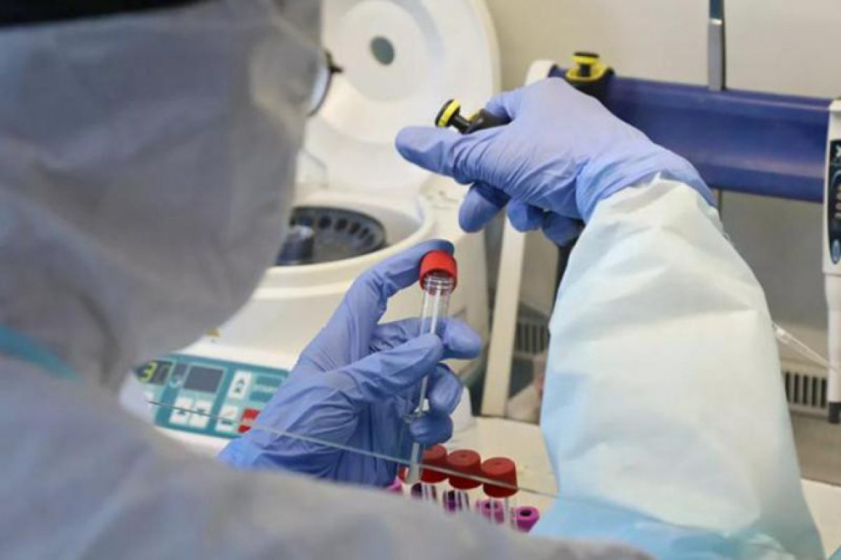 Коронавирус подтвердился у 1445 человек за сутки в Казахстане