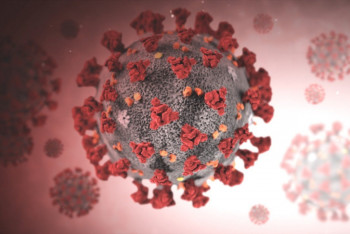 Фотография к новости: Эффективна ли вакцина против новых штаммов коронавируса