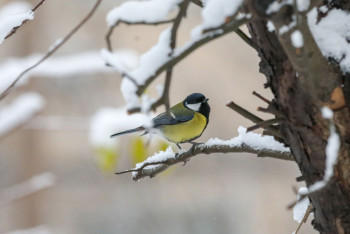 Фотография к новости: Неустойчивая погода ожидается в Казахстане 31 марта