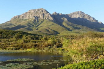 Фотография к новости: Завершить создание природного резервата "Бокейорда" в ЗКО просят депутаты