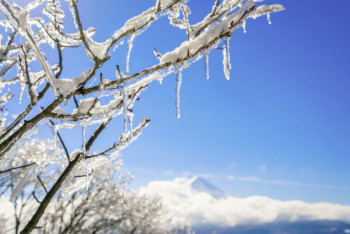 Фотография к новости: Какая погода ждет казахстанцев 1 апреля