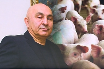 Фотография к новости: Владелец скандальной свинофермы в Бестамаке отправили под домашний арест